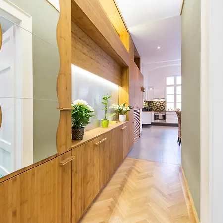 Oasis Paulay Ede Street * 부다페스트